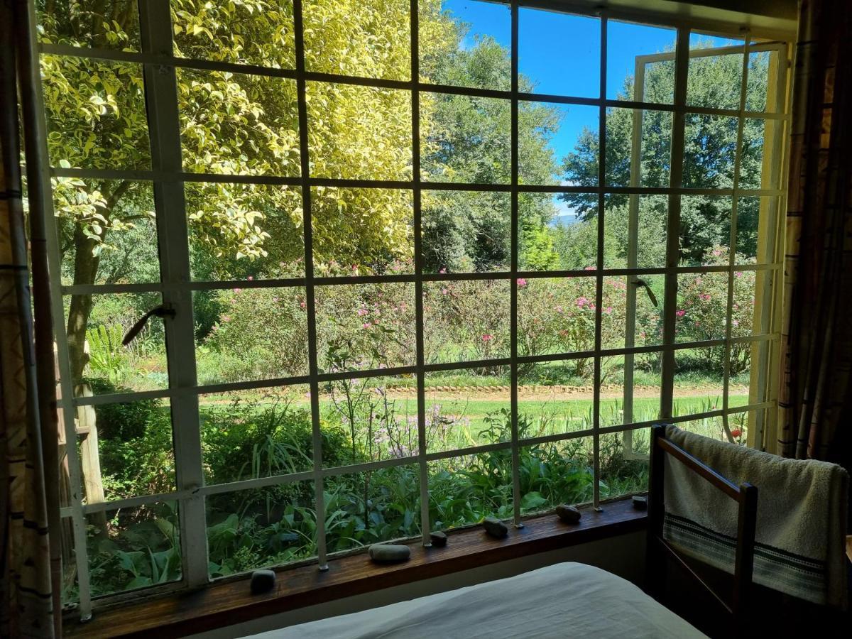هيمفيل Yellowwood Cottage المظهر الخارجي الصورة