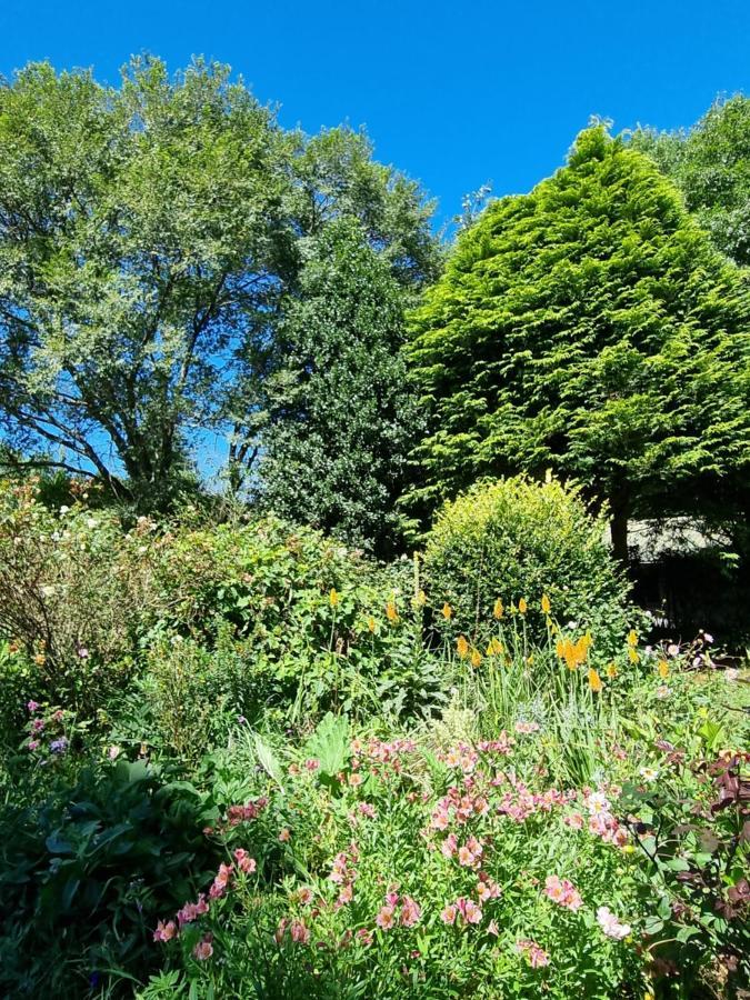 هيمفيل Yellowwood Cottage المظهر الخارجي الصورة