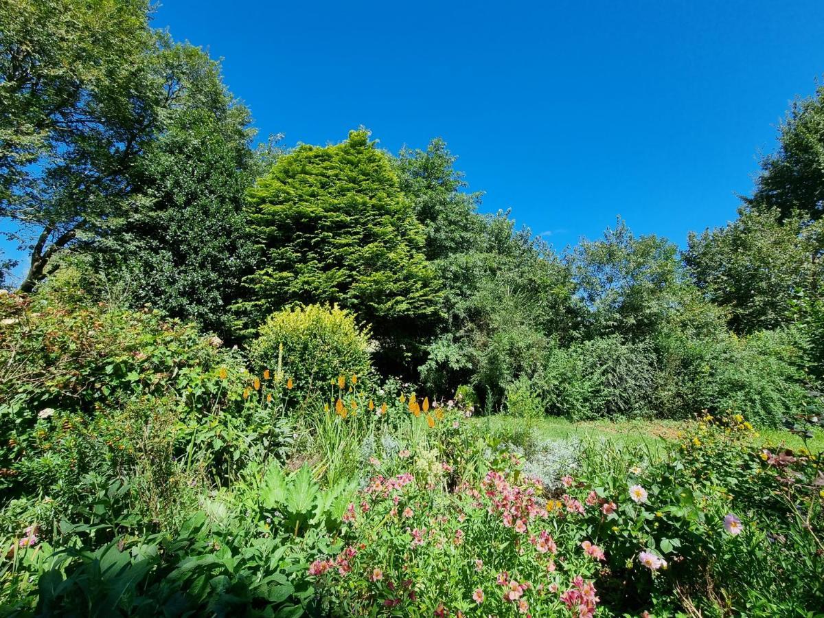 هيمفيل Yellowwood Cottage المظهر الخارجي الصورة