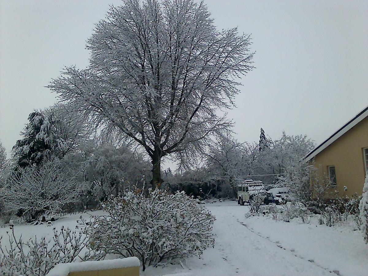 هيمفيل Yellowwood Cottage المظهر الخارجي الصورة